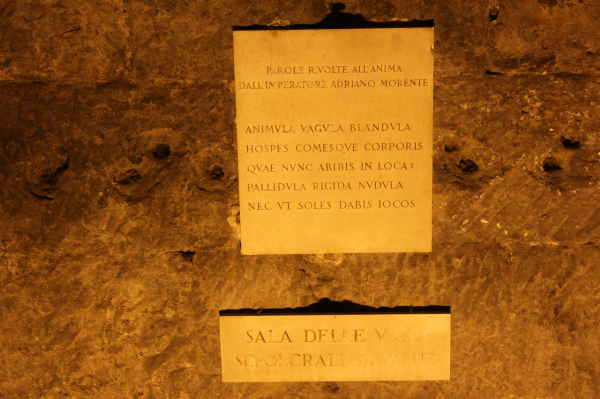 floodlite rome by night tour    